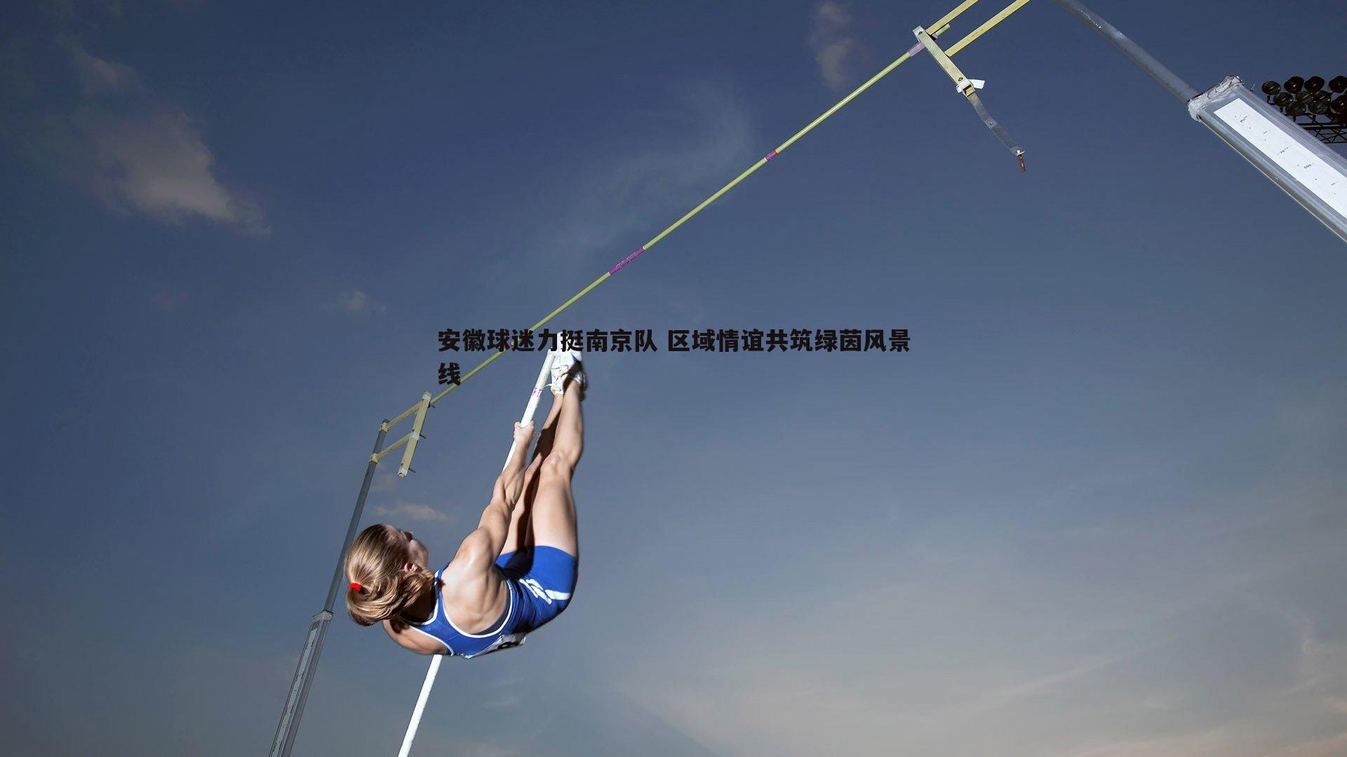 安徽球迷力挺南京队 区域情谊共筑绿茵风景线