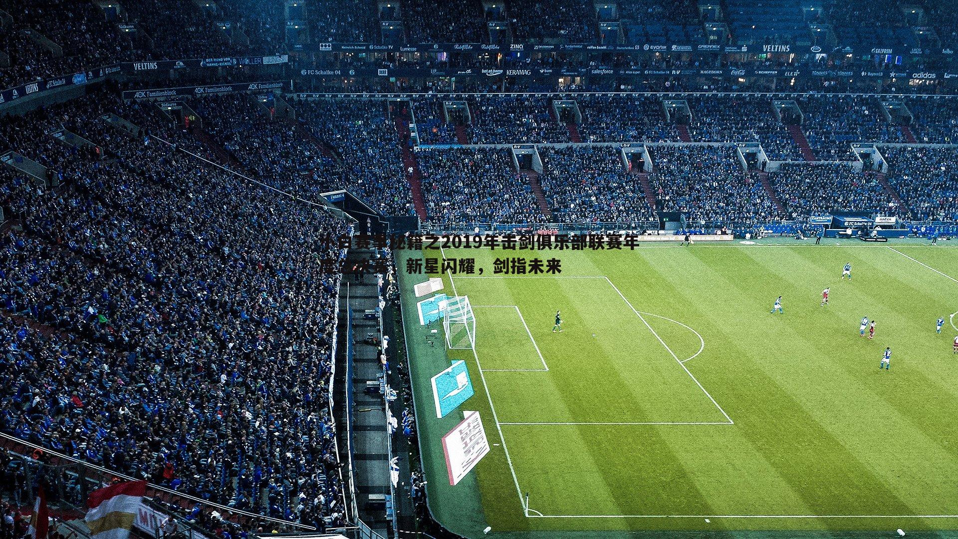 小白赛事秘籍之2019年击剑俱乐部联赛年度总决赛，新星闪耀，剑指未来