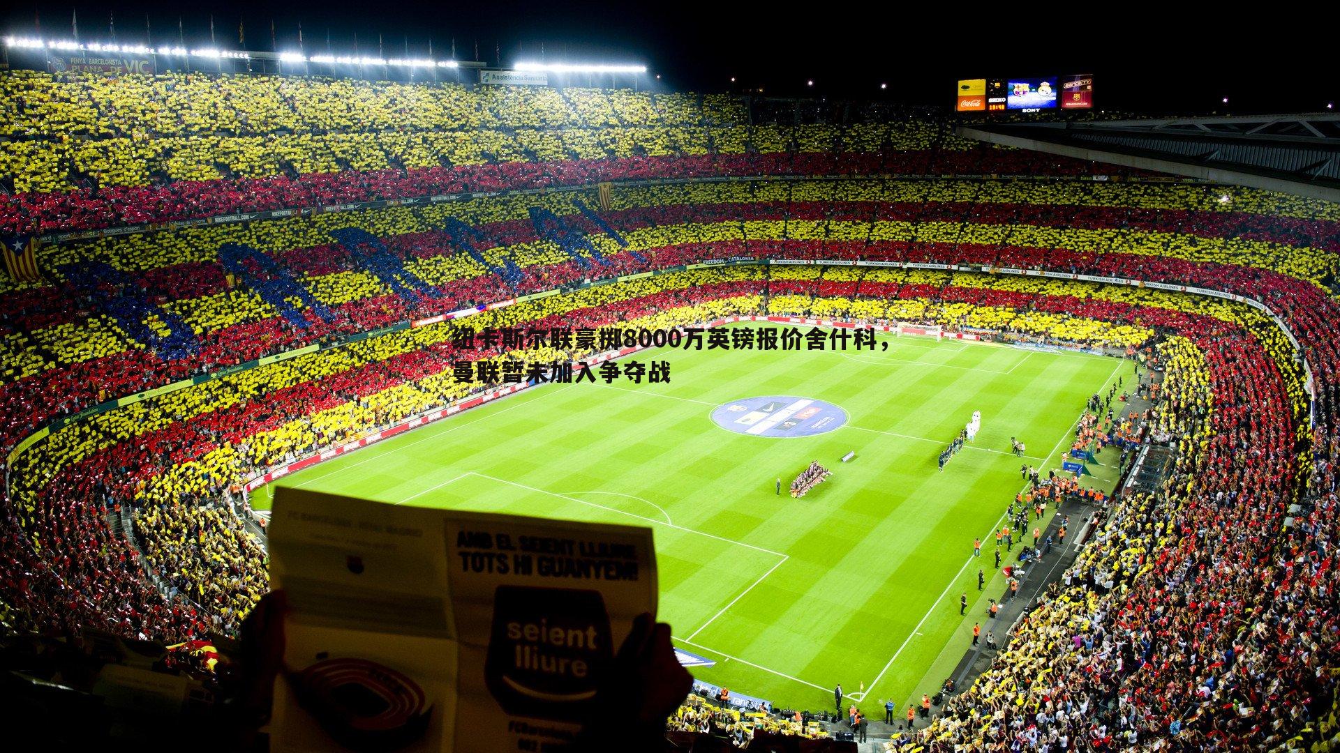 纽卡斯尔联豪掷8000万英镑报价舍什科,曼联暂未加入争夺战